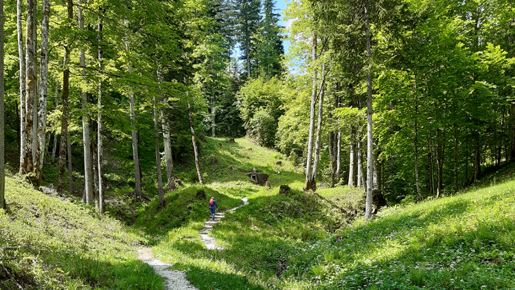 Wanderweg Via Salis