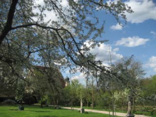 Hotel Schloss Eggersberg, Frühling im Schlosspark