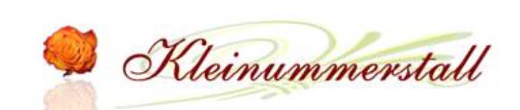 Kleinummerstall logo