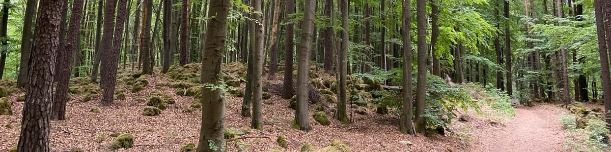 Impressionen auf dem 1000 m Steig