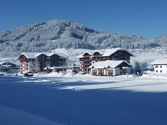 Vitalhotel Gosau - Winter