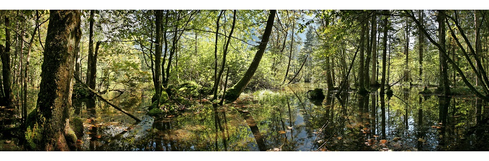Koppenwinklsee