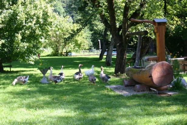 Pension Haindl -  Haus Riedl