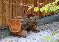 Brunntrog vorm Haus Tarzi