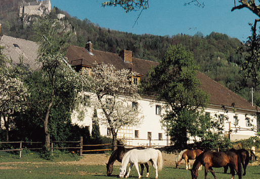 Reitergut Weißenhof, Micheldorf