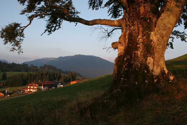 Sonnenuntergang in Jungholz - ein traumhaftes Erlebnis mit Blick auf den Ort und die nähere Umgebung.