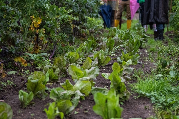 Kapellgarten Jaudenmühle