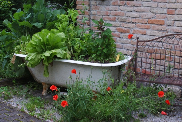 Blumenschule Schongau