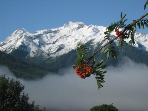 Aussicht2