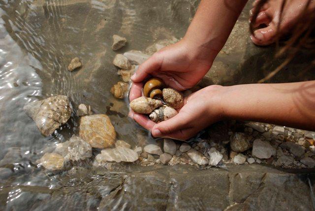 Fossilien suchen in Russbach