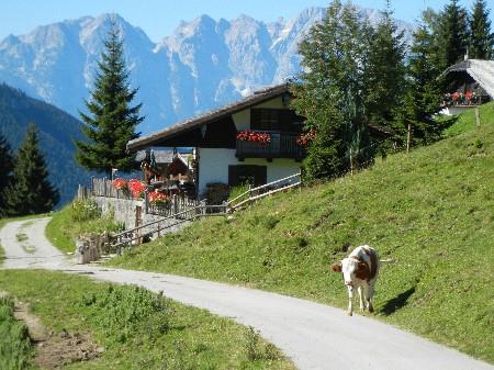 Karalm