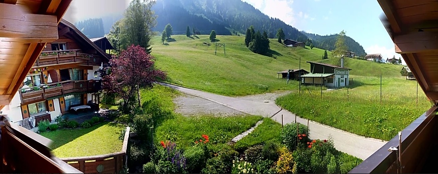 genießen Sie den Blick auf Bergsommerwiesen ...