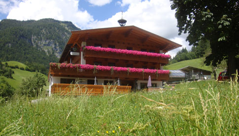 Gwercherwirt