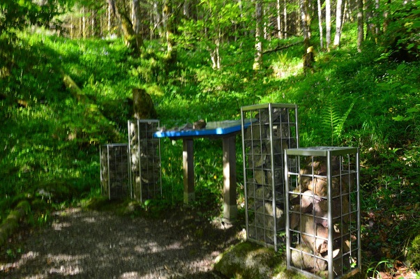 Station 5: Steinreiche Kalkalpen