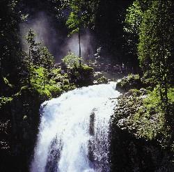 Gollinger Wasserfall_2