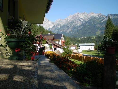 Blick vom Haus