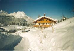 Winter