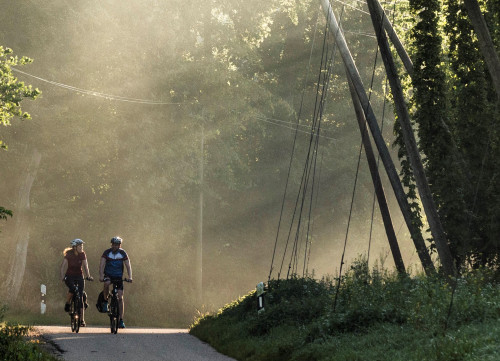 Hopfengärten säumen die Radstrecke von Ingolstadt nach Freising