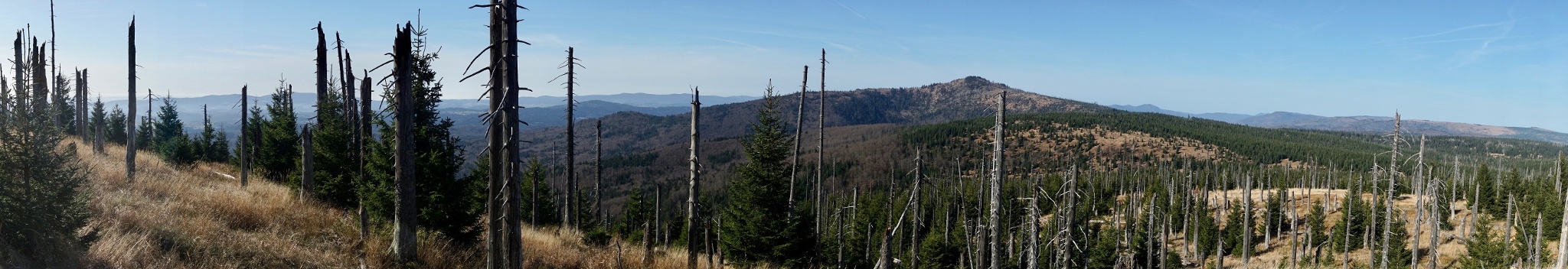 Panorama vom Plattenhausenriegel mit Gr. Rachel und Gr. Arber und Gr. Falkenstein dahinter