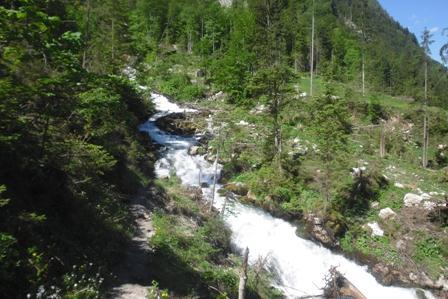 Tricklfall