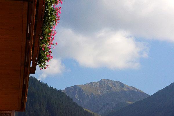 Ausblick