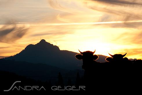 Sonnenuntergang / Grünten