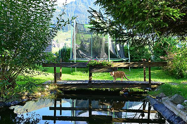Garten im Sommer