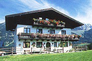 Kopfbauer im Sommer