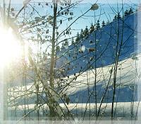 gasthof_loewen47_sonntag_buchboden