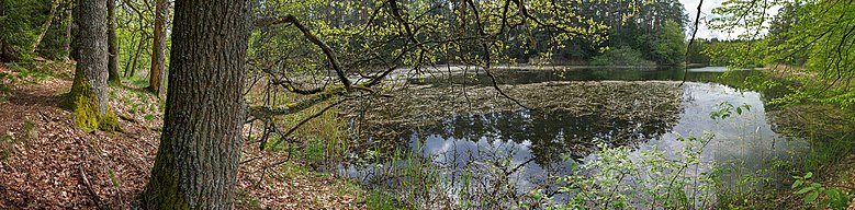 Oberer Egelsee