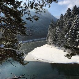 Bild 15
