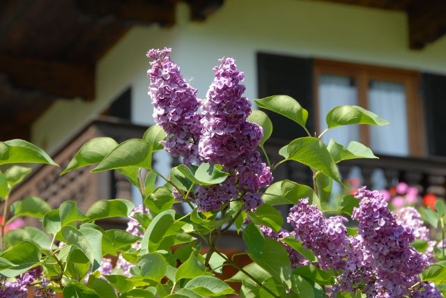 https://images.bs.ds-srv.net/objekt_pics/obj_full_31382_019.jpg