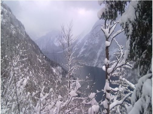 Blick zum Königssee hinunter