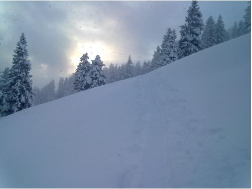 Schlussanstieg bis zur Piste