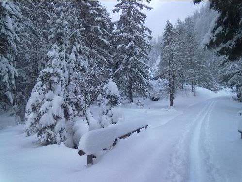 Weiteres Flachstück