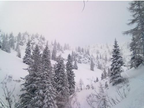 Etwas steiler zur Königsbergalm