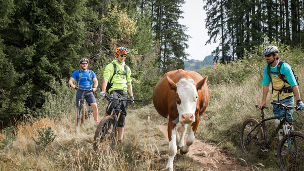 Biketour