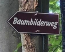 Baumbilderweg