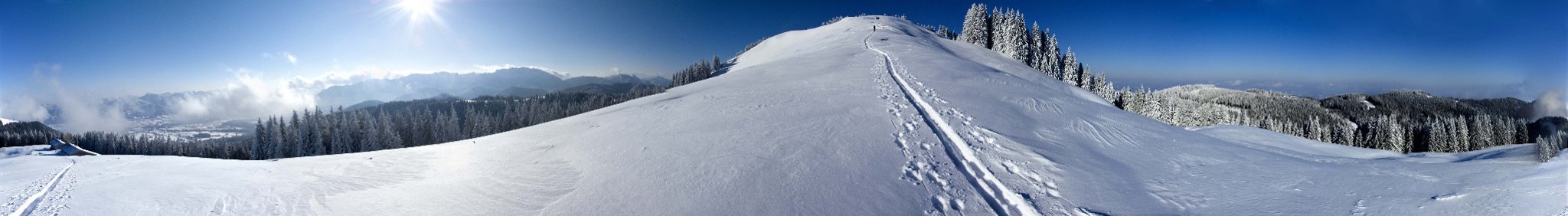 Panoramabild des Zwieselbergs