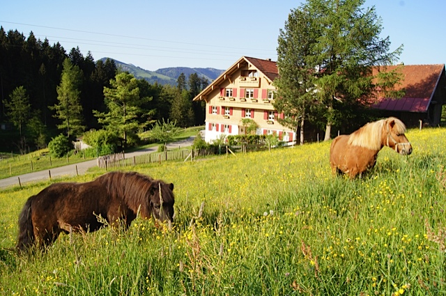 Westenried im Sommer
