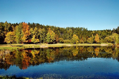 Auensee