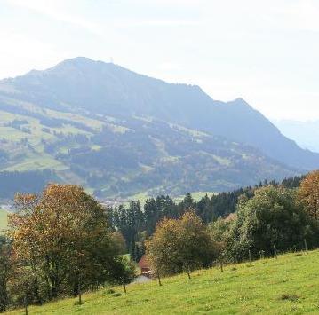 Der Grünten im Sommer