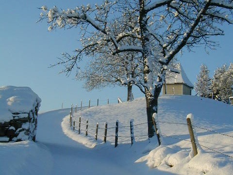 Langlaufloipe Maria Neustift