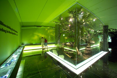Nationalpark Besucherzentrum Ennstal
