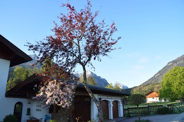 Garagenvorplatz mit Ausblick auf die Berger