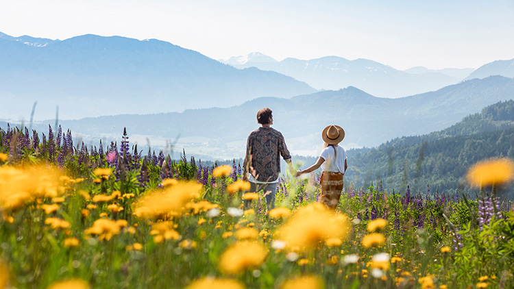 Am Weg zur Mondseer Hochalm