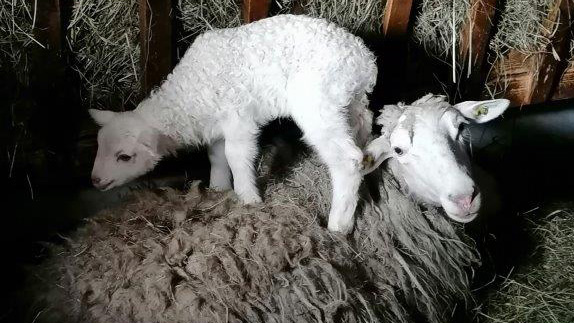 IMG_20210804_110939.jpg-td