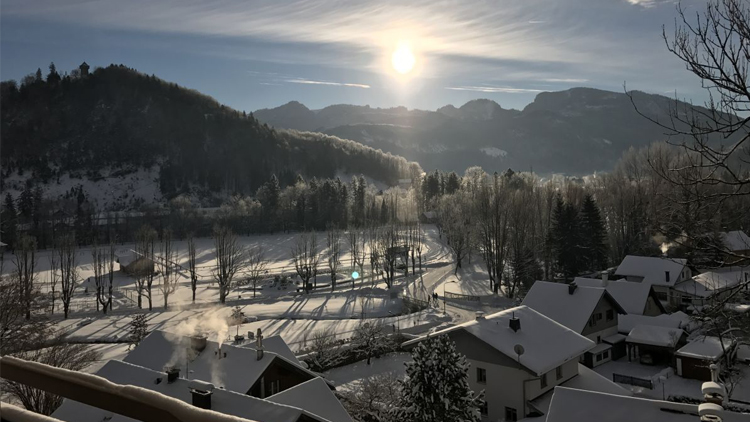 Ferienwohnnung Bergblick