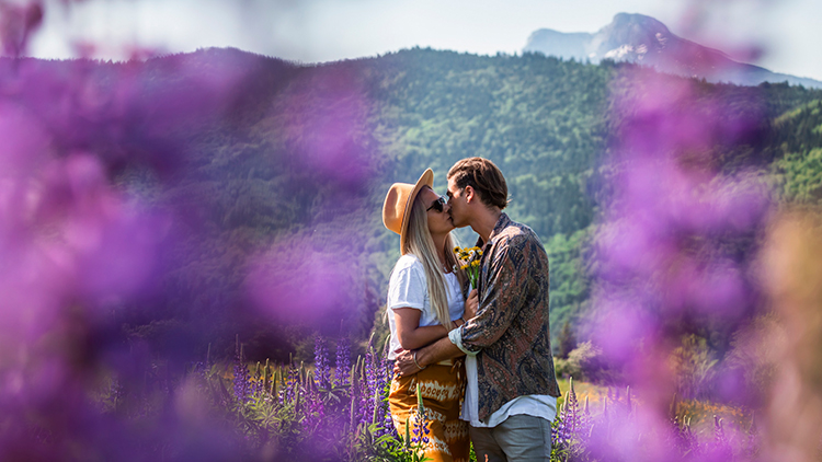 Lupinen auf der Hochalm