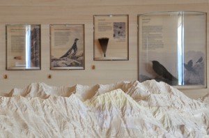 Das große Relief aus Ahornholz ist ein detailliertes Modell der umgebenden Karwendel-Ketten und kann mit einem Beamer mit verschiedenen Informationen (z.B. Verbreitungsgebiet Birkhuhn) bespielt werden